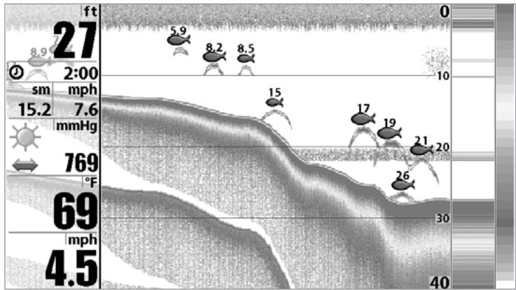 HUMMINBIRD 931C - REPRESENTATION DU FOND - 1