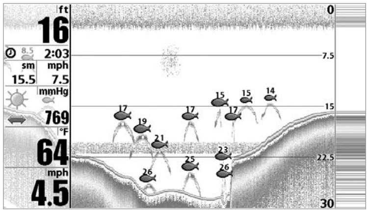 HUMMINBIRD 931C - REPRESENTATION DU FOND - 2