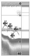 HUMMINBIRD 931C - FENÉTRE SONAR EN TEMPS RÉEL (RTS) - 1
