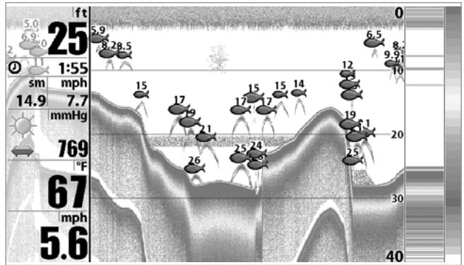 HUMMINBIRD 931C - SELECTION DES INDICATEURS - 1