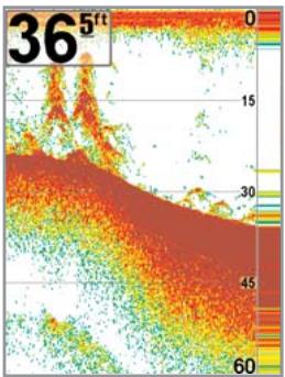 HUMMINBIRD GPS 757C - Sensibilité - 3