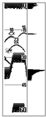 HUMMINBIRD GPS 757C - Fenêtre sonar en temps réel - 2
