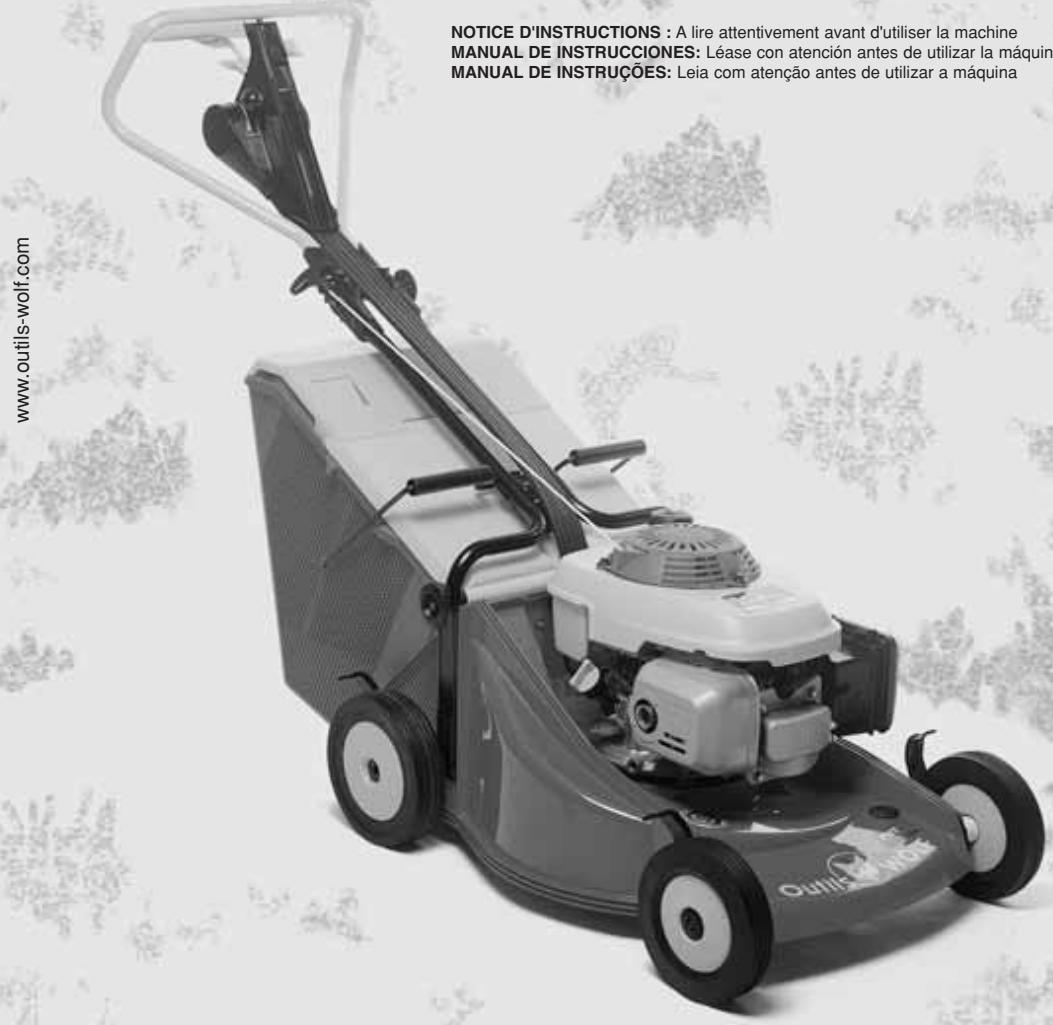 WOLF PHT - 4