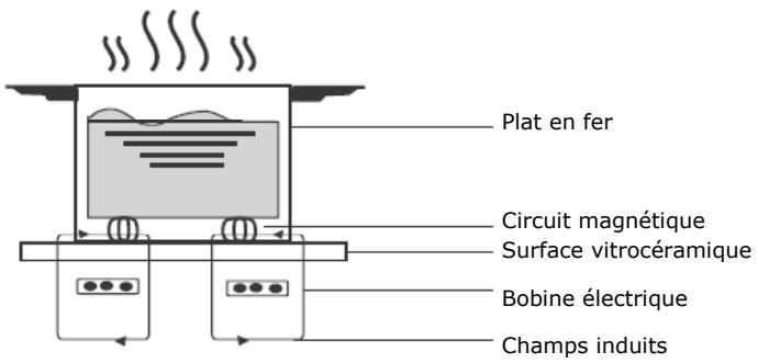CONTINENTAL EDISON CECPI2Z - La Cuisson par Induction - 1