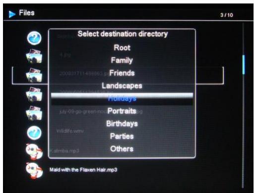 TELEFUNKEN DPF 16934 LED,  DPF 10933 6,  DPF 10934,  DPF10333 - - Copia delle fotodi dall'utilità di gestione file - 2