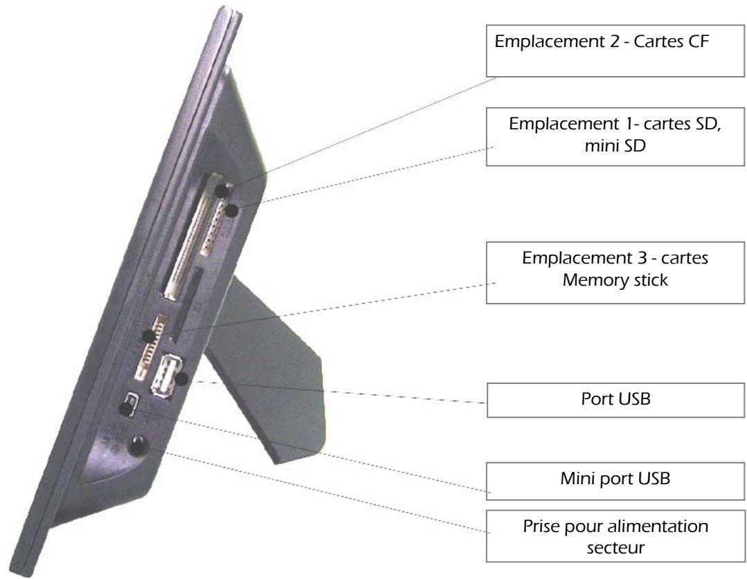 TELEFUNKEN DPF 8001 - Lecteur de cartes - 1