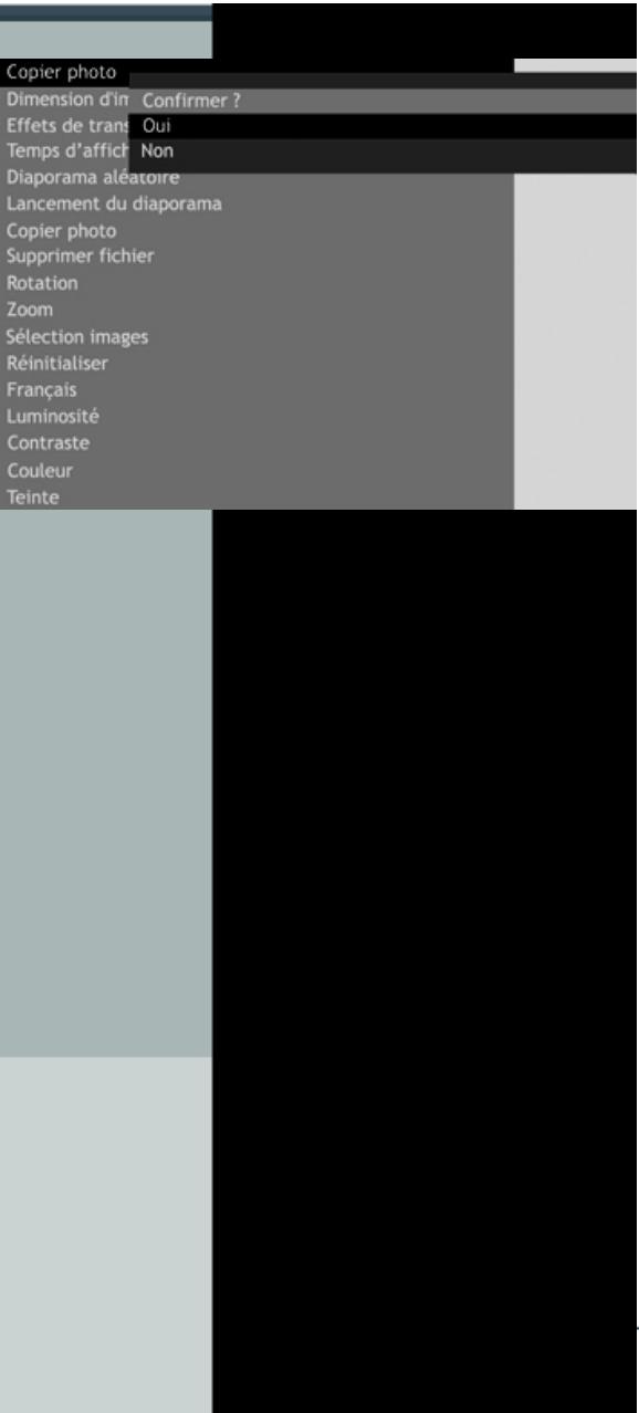 TELEFUNKEN DPF 8001 - Avec la télécommande - 1