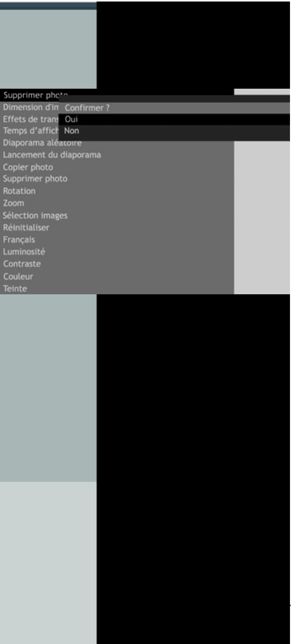 TELEFUNKEN DPF 8001 - Avec le cadre - 1