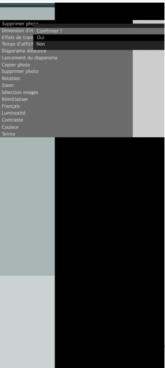 TELEFUNKEN DPF 8001 - Avec la télécommande - 1