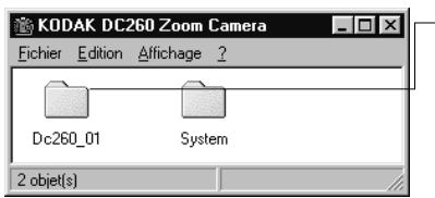 KODAK DC220 - Création d'albums sur l'appareil photo (DC260 uniquement) - 1