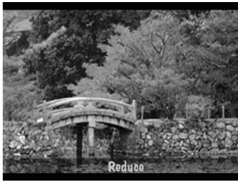 KODAK DC220 - Grossissement d'images - 2