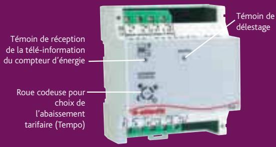 ATLANTIC PACK PILOT - Pack Pilot - 4