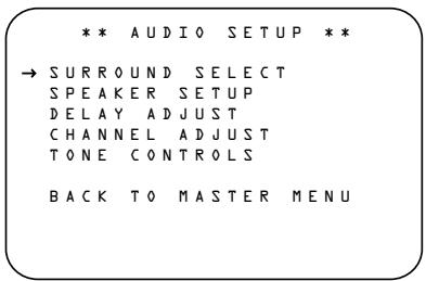 HARMAN KARDON AVR 7300 - Menu Audio Setup - 1
