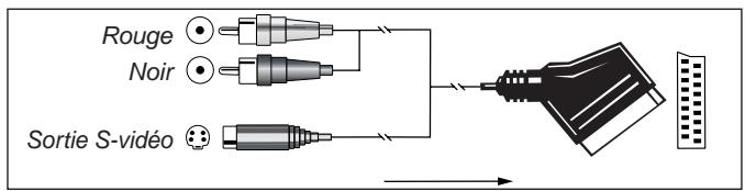 HARMAN KARDON DPR 1005 - Remarques importantes sur les connexions S-vidéo : - 6