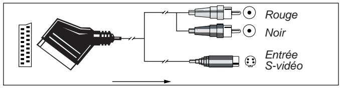 HARMAN KARDON DPR 1005 - Remarques importantes sur les connexions S-vidéo : - 4