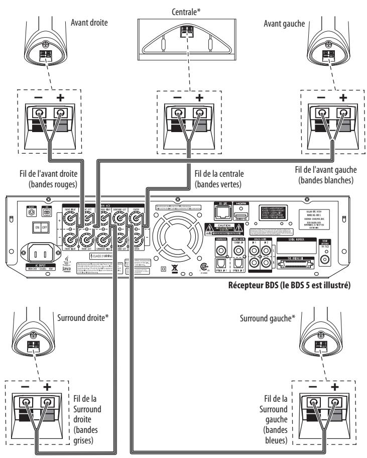 HARMAN KARDON BDS 5 - Connexions - 2