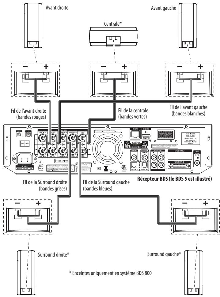 HARMAN KARDON BDS 5 - Connexions - 1