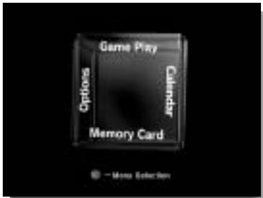 NINTENDO GAMECUBE - « INPUT SELECT » : RENSEIGNEMENTS - 7