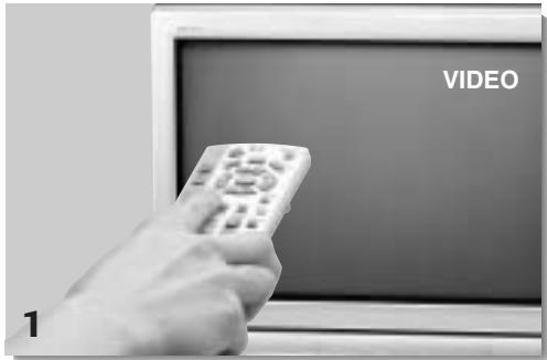 NINTENDO GAMECUBE - « INPUT SELECT » : RENSEIGNEMENTS - 1