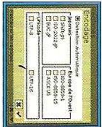 NINTENDO NAVIGATEUR BROWSER DS LITE - EEP - 2