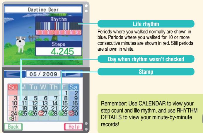 NINTENDO DS PERSONAL TRAINER WALKING - Calendar - 1