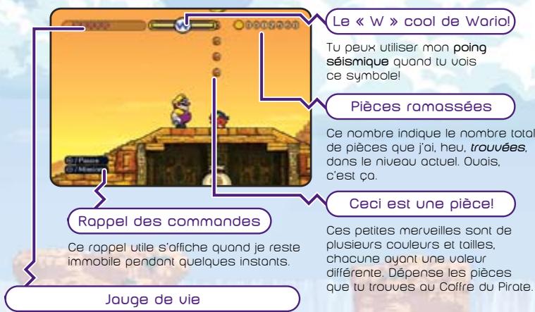 NINTENDO WARIO SHAKE IT - Qu'est-ce qui apparait à l'écran de jeu? - 1