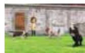NINTENDO GS CATS GOLDEN RETRIEVER - Que pouvez-vous faire avec StreetPass? - 4