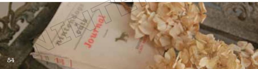 NINTENDO GS CATS GOLDEN RETRIEVER - Utilisation du carnet pour la première fois - 1