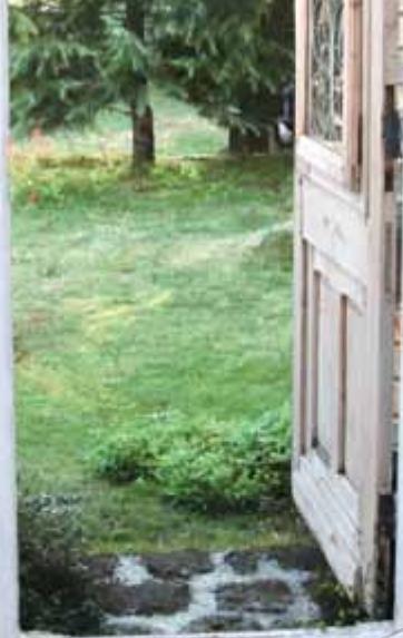 NINTENDO GS CATS GOLDEN RETRIEVER - StreetPass Info - 1