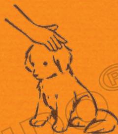 NINTENDO GS CATS GOLDEN RETRIEVER - Emmener votre chiot à la maison - 2