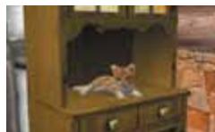 NINTENDO GS CATS GOLDEN RETRIEVER - Taking Care of Your Kitten - 1