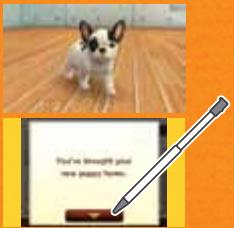 NINTENDO GS CATS GOLDEN RETRIEVER - Take Your Puppy Home - 1