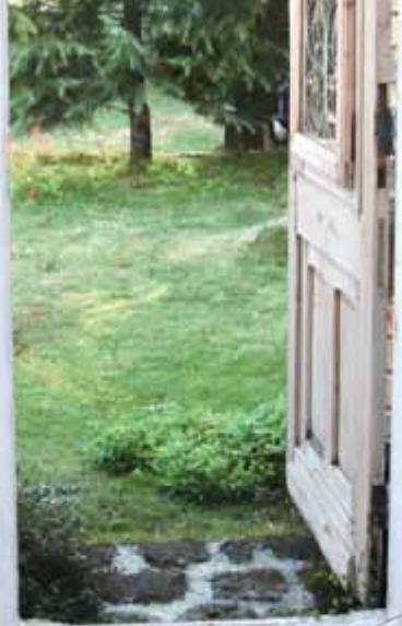 NINTENDO GS CATS GOLDEN RETRIEVER - StreetPass - 1