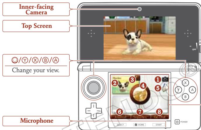 NINTENDO GS CATS GOLDEN RETRIEVER - Caring for Your Pets - 1