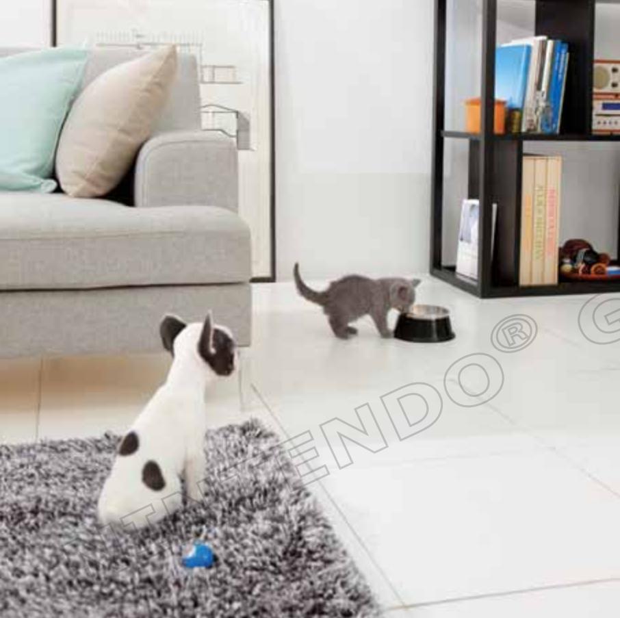 NINTENDO GS CATS GOLDEN RETRIEVER - Session de jeu sans fil - 1