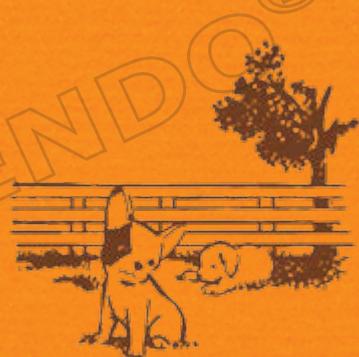 NINTENDO GS CATS GOLDEN RETRIEVER - Astuce! - 1