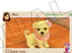 NINTENDO GS CATS GOLDEN RETRIEVER - Échange de StreetPass réussie.   Quoi faire maintainant? - 1