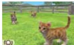 NINTENDO GS CATS GOLDEN RETRIEVER - Choose a Kitten - 1