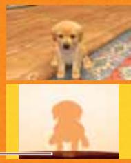 NINTENDO GS CATS GOLDEN RETRIEVER - Comment monrer à votre chiot à s'asseoir - 1