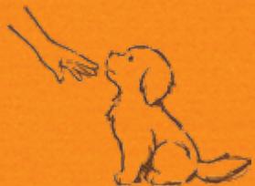 NINTENDO GS CATS GOLDEN RETRIEVER - After Learning "Sit Down" - 1