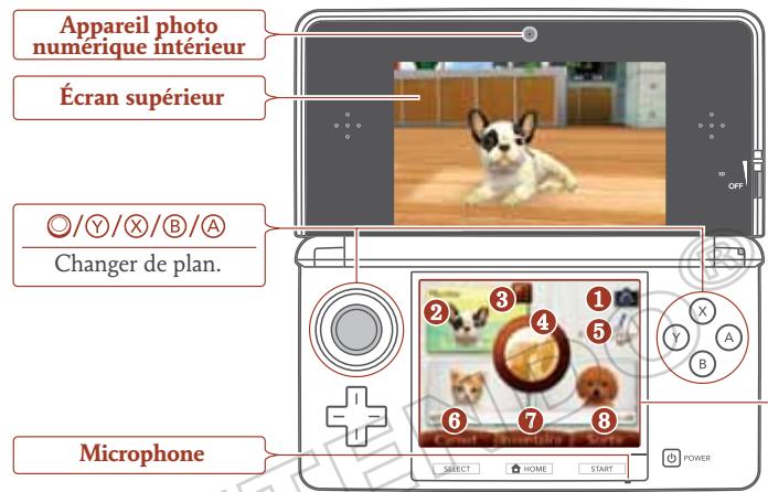 NINTENDO GS CATS GOLDEN RETRIEVER - Prendre soit de vos animaux - 1