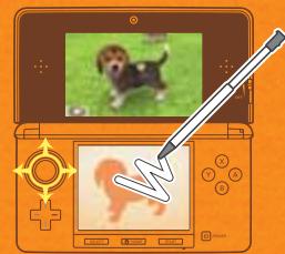 NINTENDO GS CATS GOLDEN RETRIEVER - Quel chiot faisir? - 1