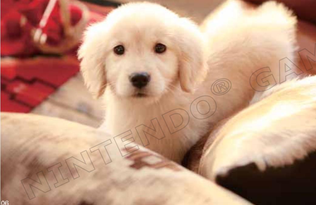 NINTENDO GS CATS GOLDEN RETRIEVER - WARRANTY LIMITATIONS - 1