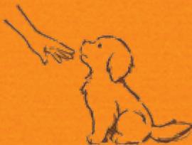 NINTENDO GS CATS GOLDEN RETRIEVER - ÀpRES avoir appris comment « s'asseoir » - 1