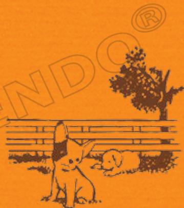 NINTENDO GS CATS GOLDEN RETRIEVER - Quick tip! - 1