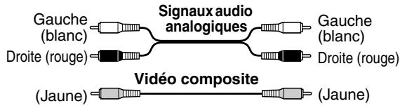 ONKYO HT-S590 - Code de couleurs des prises RCA pour apparéils AV - 1