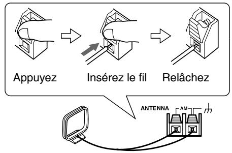 ONKYO HT-S590 - Insérez les deux fils de l'antenne-cadre AM dans les bornes à pouvoir pour antenne AM. - 1