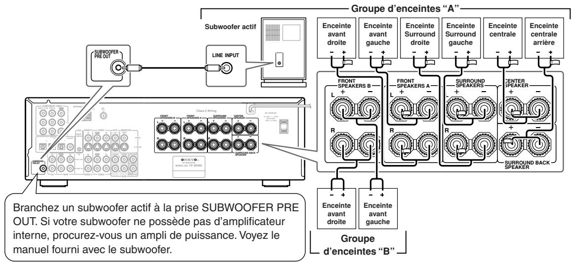 ONKYO TX-SR502E - Connexion des cables d'enceintes - 3