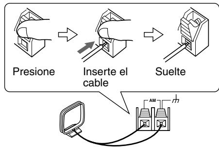 ONKYO TX-SR502E - Conectar la antenna en bucle AM - 2