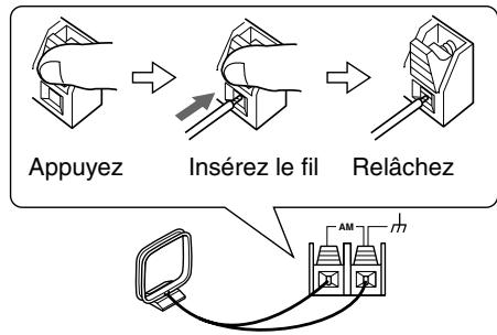 ONKYO TX-SR502E - Insérez les deux fils de l'antenne-cadre AM dans les bornes à pouvoir pour antenne AM. - 1